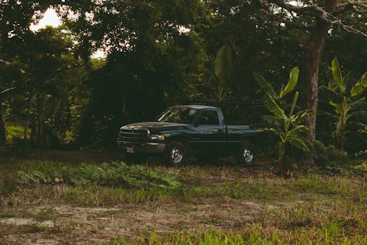 Dodge Ram Truck